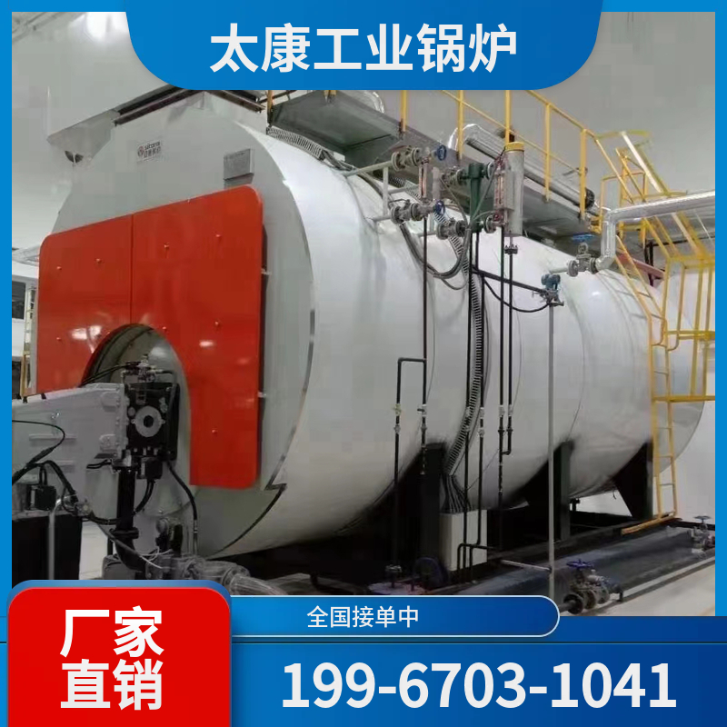 白山生物质导热油锅炉